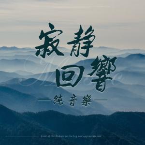 寂静回响纯音乐
