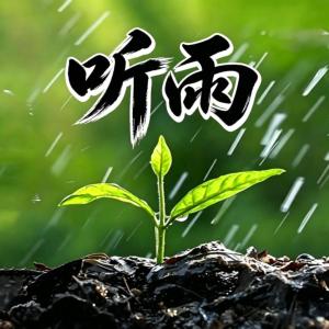 听雨