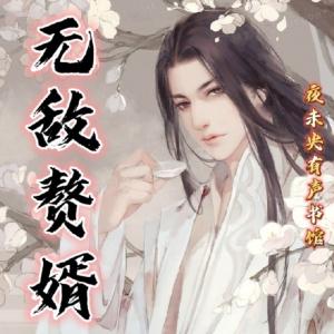 无敌赘婿有声小说