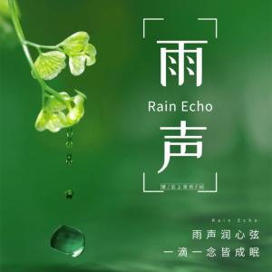 雨声白噪音心灵减压沉浸式下雨声疗愈ASMR助眠有声小说