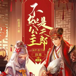 不知公主是夫郎有声小说