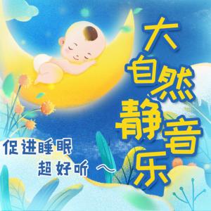 大自然静音乐有声小说