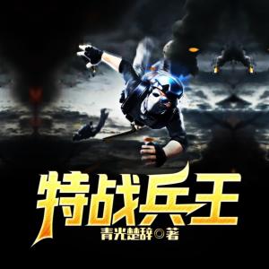 特战兵王有声小说
