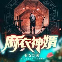麻衣神婿有声小说