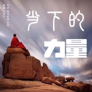 当下的力量有声小说