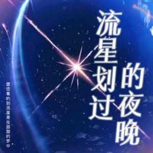 流星划过的夜晚有声小说