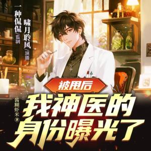 被甩后，我神医的身份曝光了有声小说