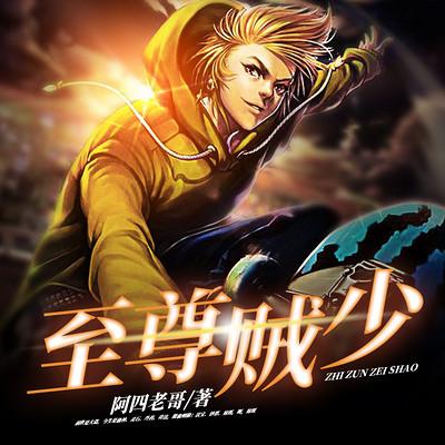 至尊贼少有声小说