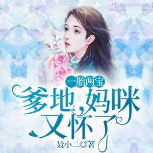 一胎两宝:爹地,妈咪又怀了有声小说