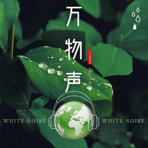 全景声白噪音沉浸式大自然听雨助眠有声小说