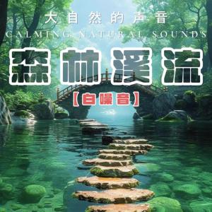 森林溪流大自然的声音