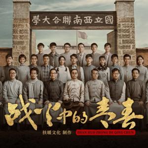 战火中的青春有声小说