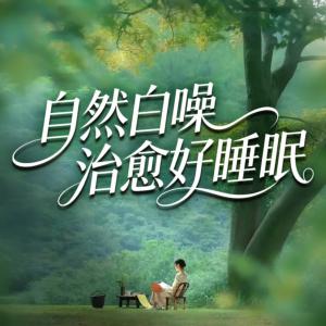 自然白噪治愈好睡眠有声小说