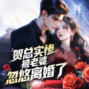 贺总实惨，被老婆忽悠离婚了