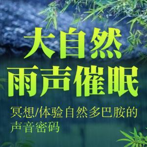 大自然雨声催眠有声小说