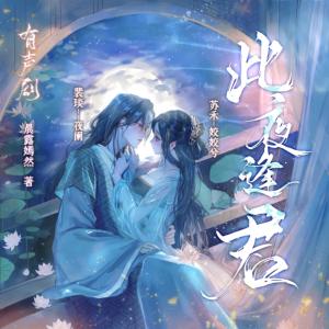 此夜逢君有声小说