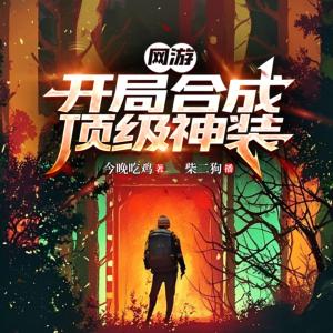 网游开局合成顶级神装有声小说