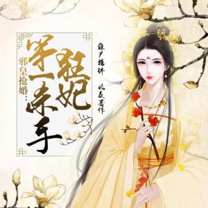 邪皇抢婚：第一杀手狂妃