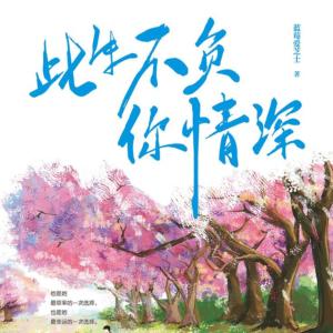 此生不负你情深有声小说