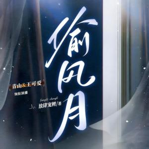 偷风月有声小说