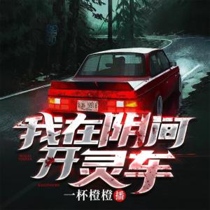 我在阴间开灵车有声小说
