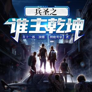 兵圣之谁主乾坤有声小说