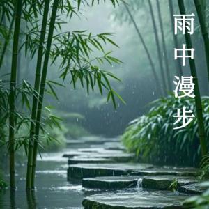 雨中漫步：雷雨夜沉浸式ASMR有声小说