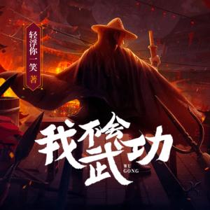 我不会武功有声小说