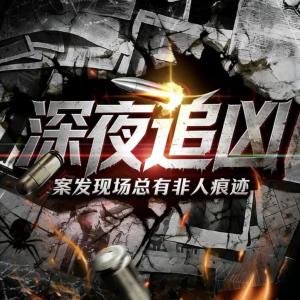 深夜追凶：案发现场总有非人痕迹有声小说