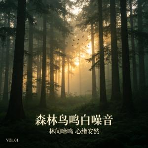 森林鸟鸣白噪音