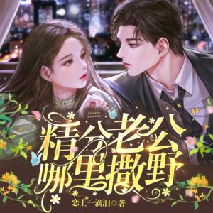精分老公哪里撒野有声小说