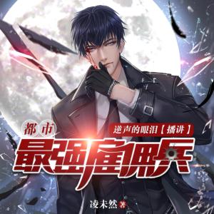 都市最强雇佣兵有声小说