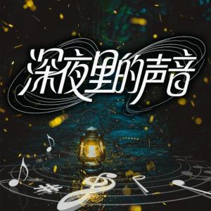 深夜里的声音有声小说