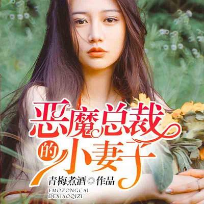 恶魔总裁的小妻子有声小说