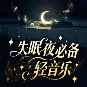 失眠夜必备轻音乐