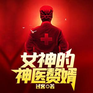 女神的神医赘婿有声小说