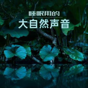 助眠白噪音有声小说
