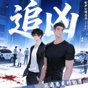 追凶有声小说