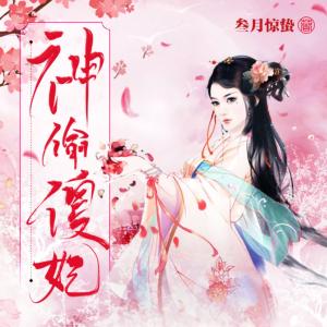 神偷傻妃