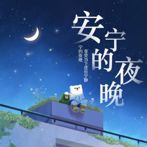 安宁的夜晚有声小说