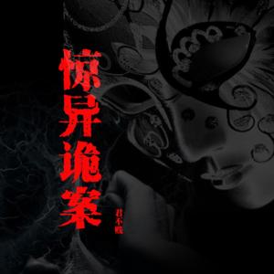 惊异诡案有声小说