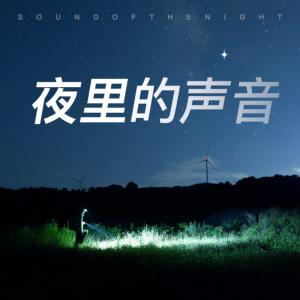 深夜里的声音白噪音有声小说