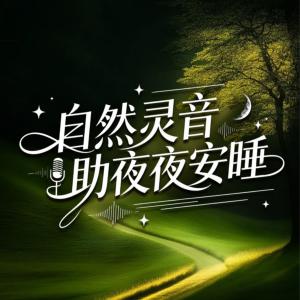 自然灵音助夜夜安睡有声小说
