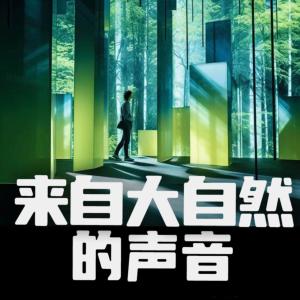 来自大自然的声音有声小说