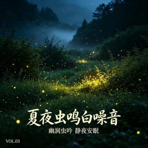 夏夜虫鸣白噪音有声小说
