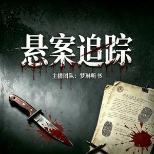 大祁公案有声小说