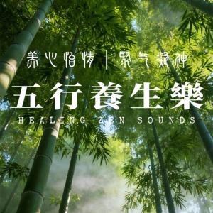 百病生于气，止于音