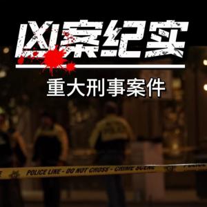 重大刑事案件纪实有声小说