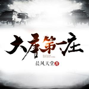 大唐第一庄有声小说