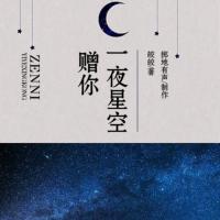 赠你一夜星空